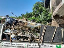 Best Demolition Debris Removal  in Sumner, IA