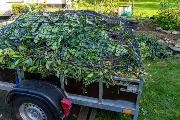 Best Furniture Removal  in Sumner, IA